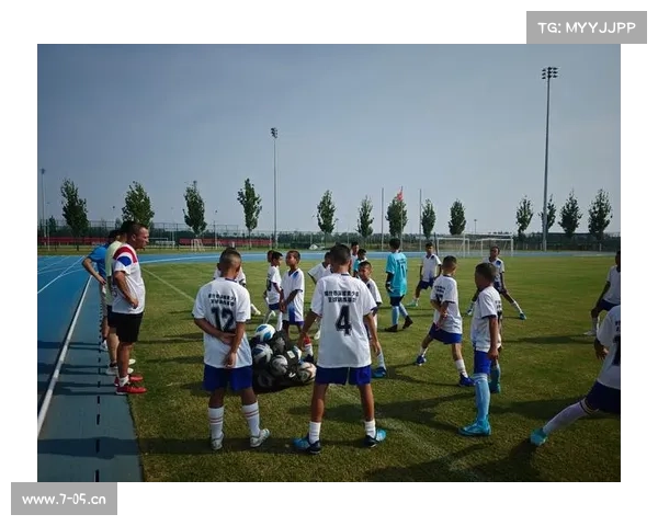 体育赛事制度,体育赛事改革创新路径探索与可持续发展对策研究