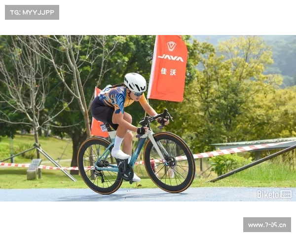 自行车比赛等级a到d